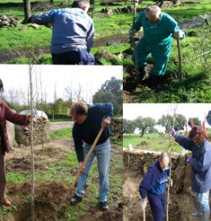 Explorando nuevos cauces de participacin ciudadana para mejorar y acondicionar espacios ambientalmente degradados en el medio rural