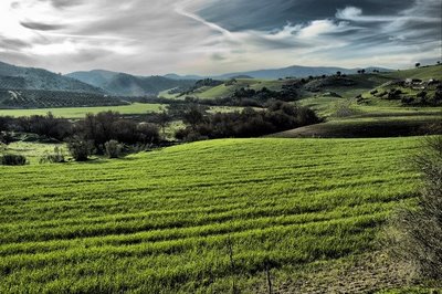 Proyecto de educación ambiental: Ruta del Puerto La Loba