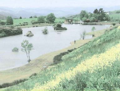 Proyecto de recuperacin y gestin de la Laguna de El Arenero