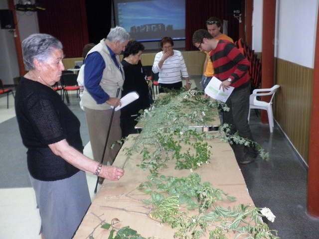 Proteccin integral de la flora, la vegetacin y los hbitats prioritarios en el municipio de Engudanos