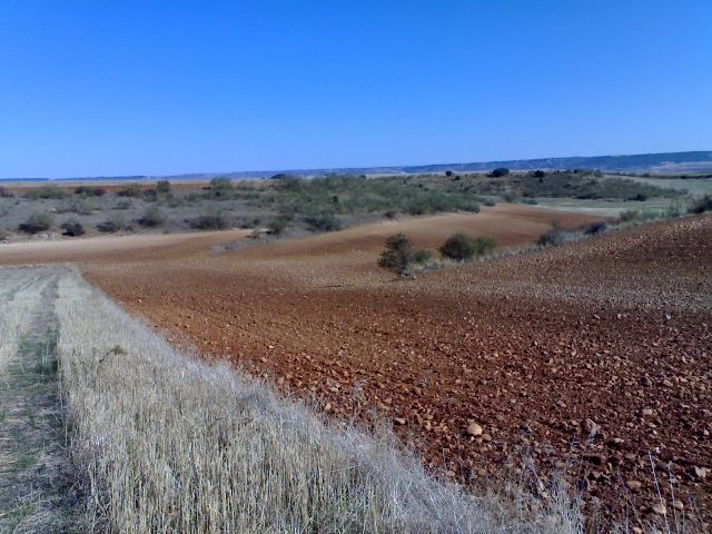 Seguimiento municipal de la roturacin de tierras indebidamente en ZEPA