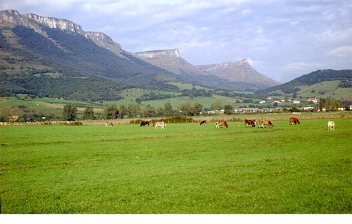 Elaboracin de un Diagnstico Ambiental y cultural del municipio de Amurrio