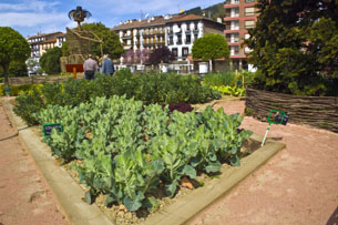 'Proyecto Ereiten' de sensibilizacin ciudadana para la preservacin de la biodiversidad agrcola