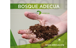 Bosque ADECUA