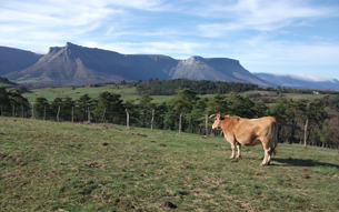 Desarrollo Agroecolgico de Ordua