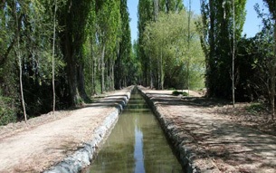 Proyecto desarrollo urbano y regeneracin medioambiental del patrimonio fluvial y vas pecuarias en Laguna de Duero (FEDER)