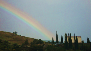 Priorat UP!!! La recuperacin socioeconomica de la Comarca Vitivinicola del Priorat