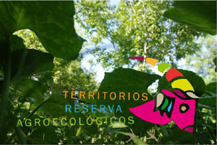 Territorios reserva agroecológicos: banco de oportunidades e iniciativas