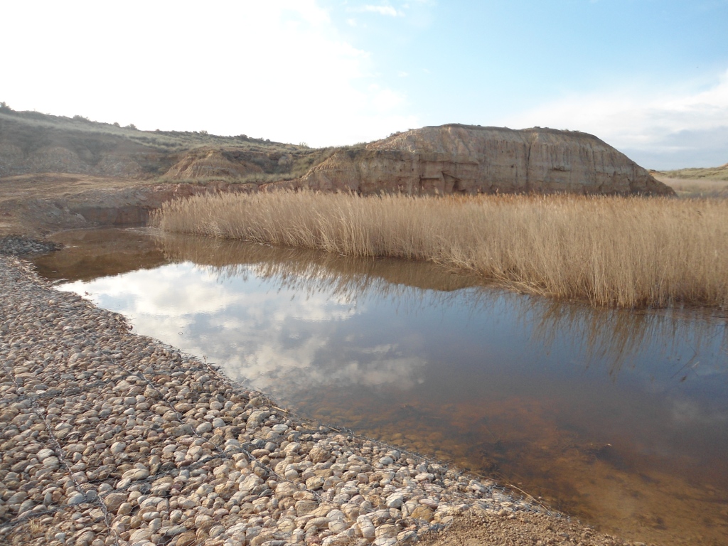 Creacin y Restauracin de Ecosistemas Acuticos para la Mejora de la Calidad del Agua y la Biodiversidad en Cuencas Agrcolas del Ro Flumen. CREAMAgua