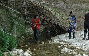 Movindonos por el Ro