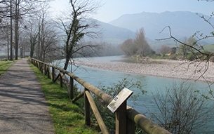 Proyecto de mejora del ecosistema fluvial LIC Ro Cares-Deva y Arboretum de Panes