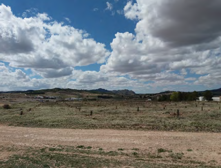 PROYECTO DE ABSORCIN DE DIXIDO DE CARBONO EN EL MUNICIPIO DE CAUDETE (ALBACETE)