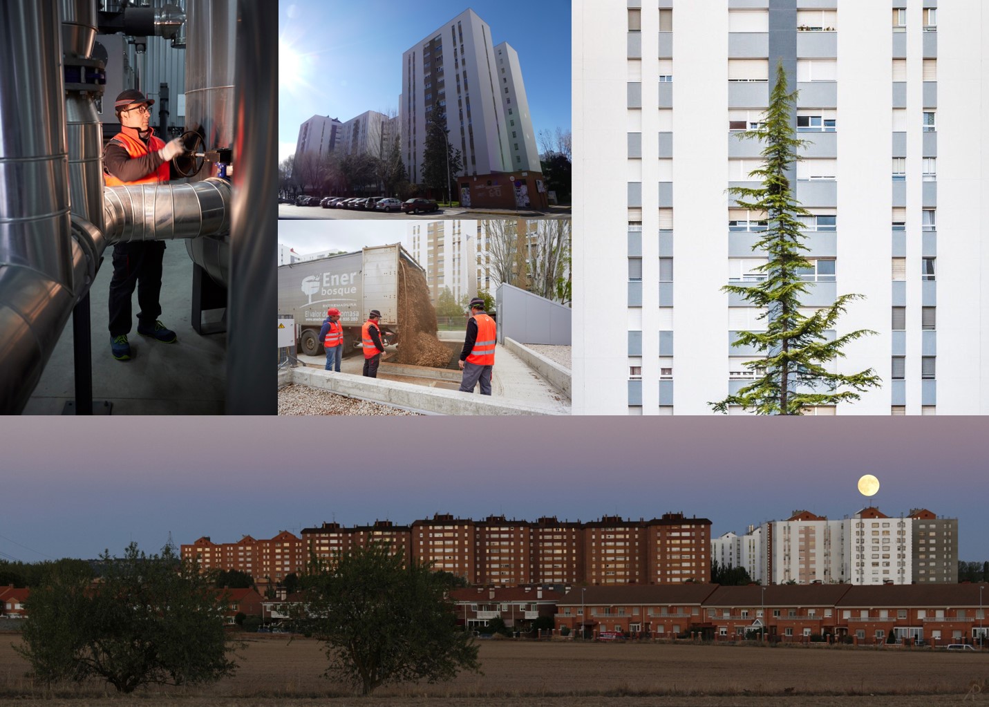Rehabilitación energética del distrito de Torrelago dentro del Proyecto CityFied