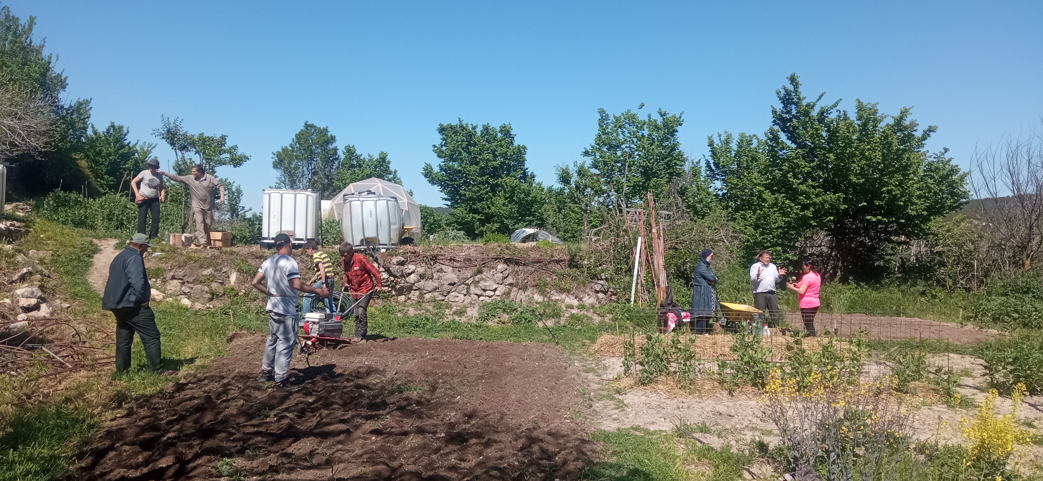 Huertos comunitarios La Almuuela y programa de ecoemprendimiento agroecolgico